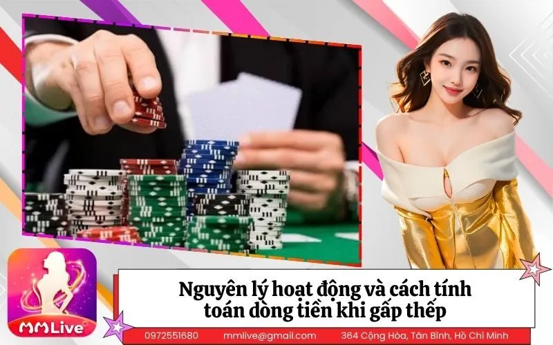 Nguyên lý hoạt động và cách tính toán dòng tiền khi gấp thếp