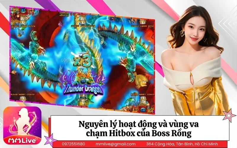 Nguyên lý hoạt động và vùng va chạm Hitbox của Boss Rồng